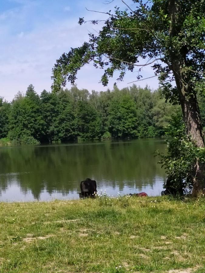 Ferienwohnung Podkrovni Apartman V Prirode, Vhodny K Relaxaci I Na Sluzebni Cesty Cerna u Bohdance Exterior foto